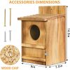 Outdoor Wooden Screech Owl BirdHouse for Mounting - Easy to Assemble