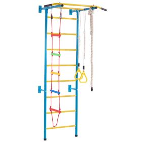 Indoor Jungle Gym for Toddlers, 5-in-1 Climbing Playset with Carbon Steel Swedish Ladder, Wall Ladder, Pull-Up Bar, Rope Ladder, and Gymnastic Ri