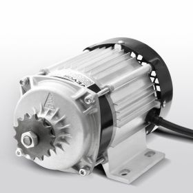 750W Electric Brushless DC Motor Kit 48V 2700rpm With Upgraded Speed Controller (Option: Silver)